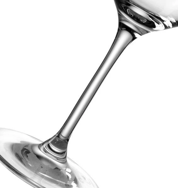 Leonardo Weißweinglas CHATEAU 410 Ml, 6er-Set 5 Leonardo Weißweinglas CHATEAU 410 Ml, 6er-Set – Bild 5